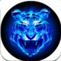 四虎APP 安卓破解版V2023下载(四虎影视破解版最新版)