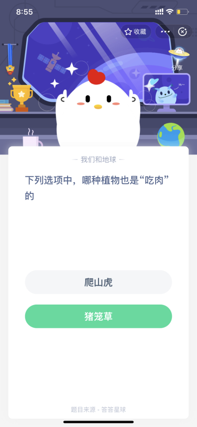下列选项中，哪种植物也是吃肉的(5月14日支付宝每日一题)