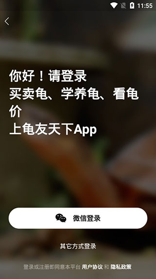 龟友天下