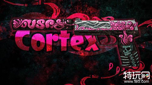 专业的csgo第三方开箱网站介绍(csgo第三方开箱网站大全)