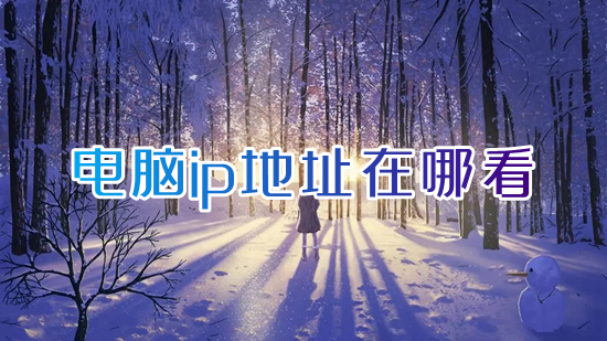 电脑ip地址在哪看(怎么查看电脑ip地址)