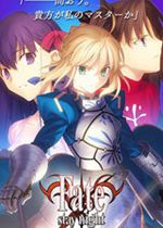 命运之夜单机游戏版 中文最终版 百度网盘下载(fate stay night游戏下载)