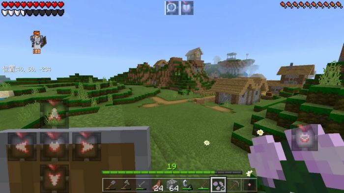 我的世界基岩版1.16种子图2
