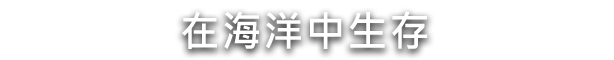 水之城3