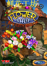 鲜花工坊 (Flower Shop:Big City Break)硬盘版下载(鲜花工坊下载)