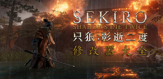 只狼修改器大全图片