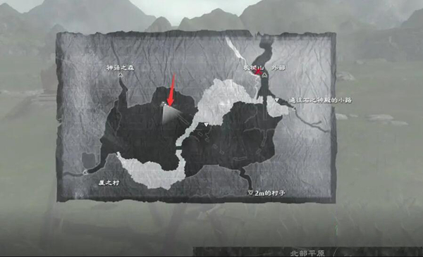 尼尔伪装者游戏截图8
