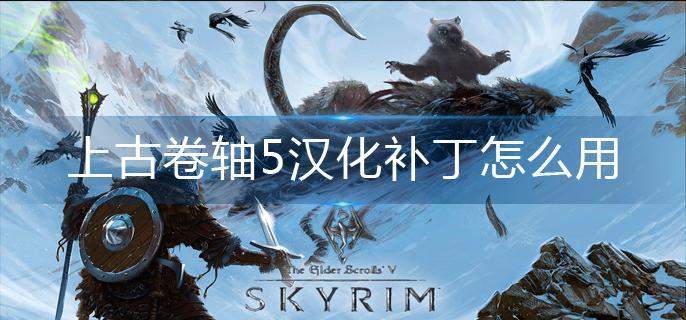 上古卷轴5汉化补丁怎么用(汉化补丁使用方法)