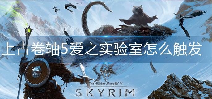 上古卷轴5爱之实验室怎么触发(爱之实验室触发方法)