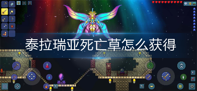 泰拉瑞亚死亡草怎么获得(死亡草获取攻略)