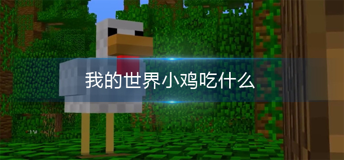我的世界小鸡吃什么,我的世界小鸡吃食物介绍