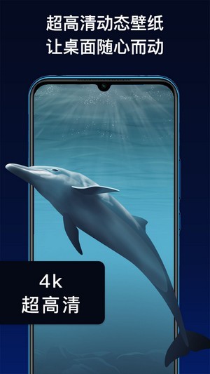 动态主题  安卓版v2.0.0下载(动态主题免费软件下载)