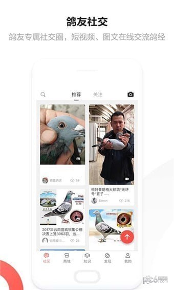 搜鸽网APP(专为鸽子而生) v1.10.15安卓版下载(搜鸽网APP下载)
