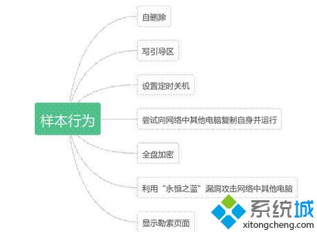 样本行为