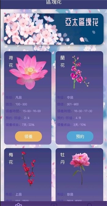 流星花园