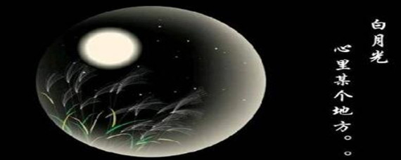 网络用语白月光是什么意思(白月光含义分享)