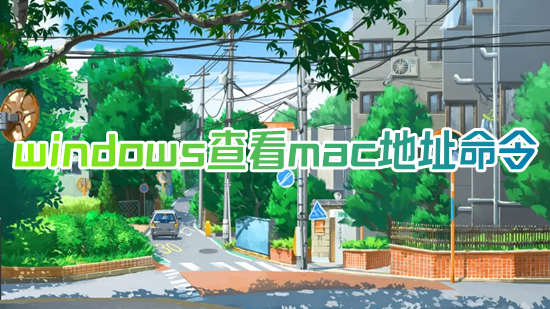 windows查看mac地址命令(电脑的mac地址怎么查)