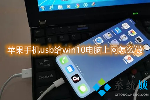 苹果手机usb给win10电脑上网怎么做?(苹果手机usb共享网络给电脑的方法)