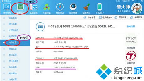 鲁大师内存条型号品牌