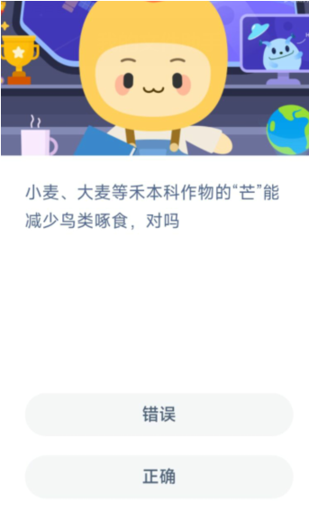 小麦大麦等禾本科作物的芒能减少鸟类啄食对吗