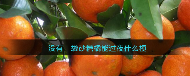 没有一袋砂糖橘能过夜什么梗(抖音没有一袋砂糖桔能过夜什么意思含义)