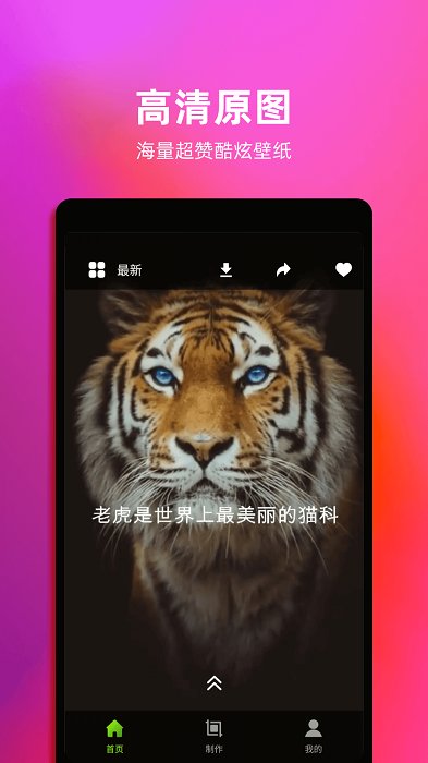 live动态壁纸软件