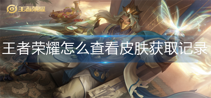 王者荣耀怎么查看皮肤获取记录(皮肤获取记录查询方法)