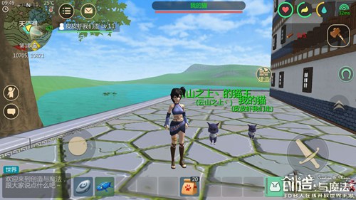 创造与魔法猫怎么抓