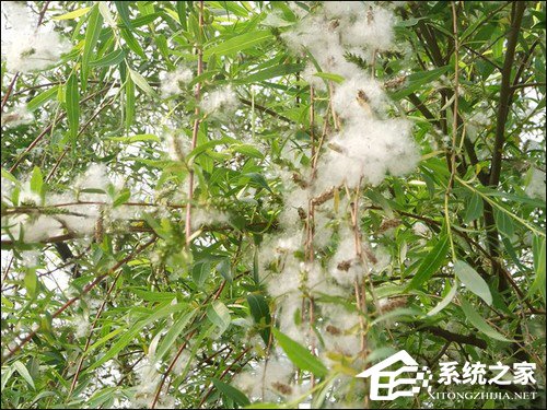防尘机箱怎么选购？主机防尘策略三大要素解析