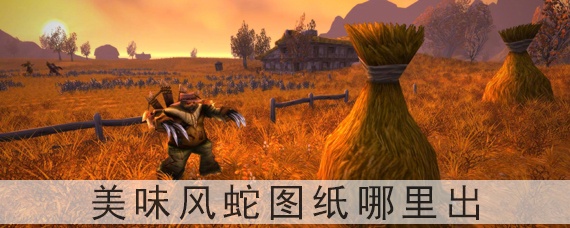 魔兽世界怀旧服美味风蛇图纸哪里出(美味风蛇图纸打什么怪出)