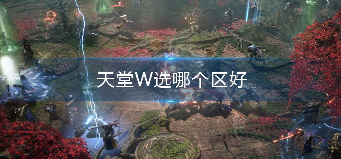 天堂W选哪个区好(天堂W区服选择推荐)