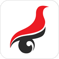 学信网手机版下载 V1.1.3.1安卓版下载(学信网APP官方版下载)