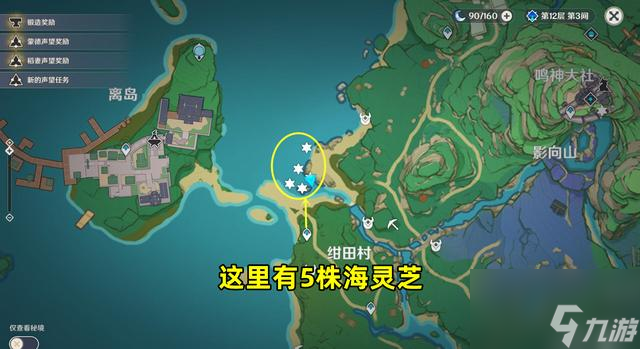 原神海灵芝采集路线2022 2.8版本海灵芝刷新点汇总