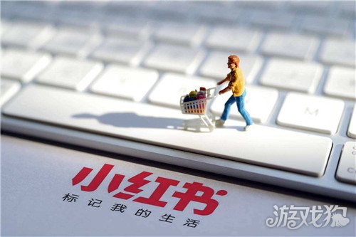 小红书怎么积累粉丝?( 做小红书如何快速涨粉)