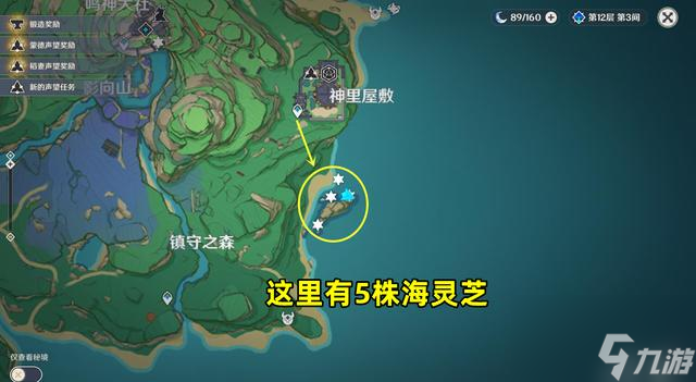 原神海灵芝采集路线2022 2.8版本海灵芝刷新点汇总