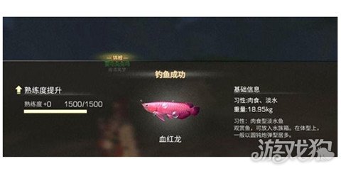 明日之后血红龙在哪?血红龙位置详情分享
