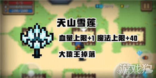 元气骑士天山雪莲是一次性的吗(天山雪莲可以使用几次)