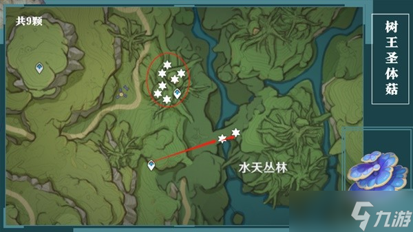 《原神》树王圣体菇采集路线