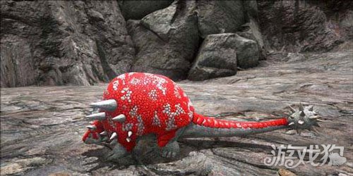 星尾兽怎么抓?(星尾兽生物百科知识解析)