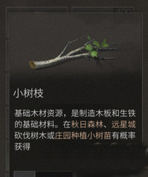 明日之后小树枝有什么作用?(小树枝作用介绍)
