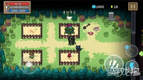 元气骑士植物种类大全(这些植物你认识吗)