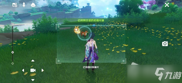 《原神》稻妻特色动物位置大全