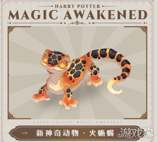 哈利波特魔法觉醒神奇动物火蜥蜴特点介绍