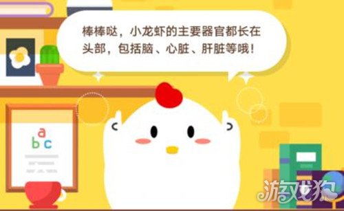 小龙虾的心脏在哪里?(蚂蚁庄园小龙虾心脏位置)
