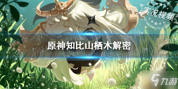《原神》知比山解密攻略分享(让我来告诉你知比山解密怎么过)