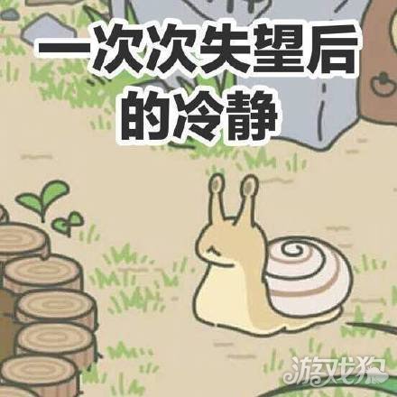旅行青蛙里蜗牛吃什么?(蜗牛爱吃的东西)