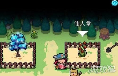 元气骑士仙人掌怎么获得?(仙人掌属性数据)