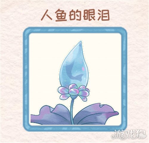 花店物语人鱼的眼泪怎么获得?(人鱼的眼泪获取方法)