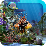 3D水族馆动态壁纸2020 v1.6.3图