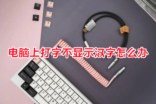 电脑上打字不显示汉字怎么办?(电脑打字不显示字怎么回事)